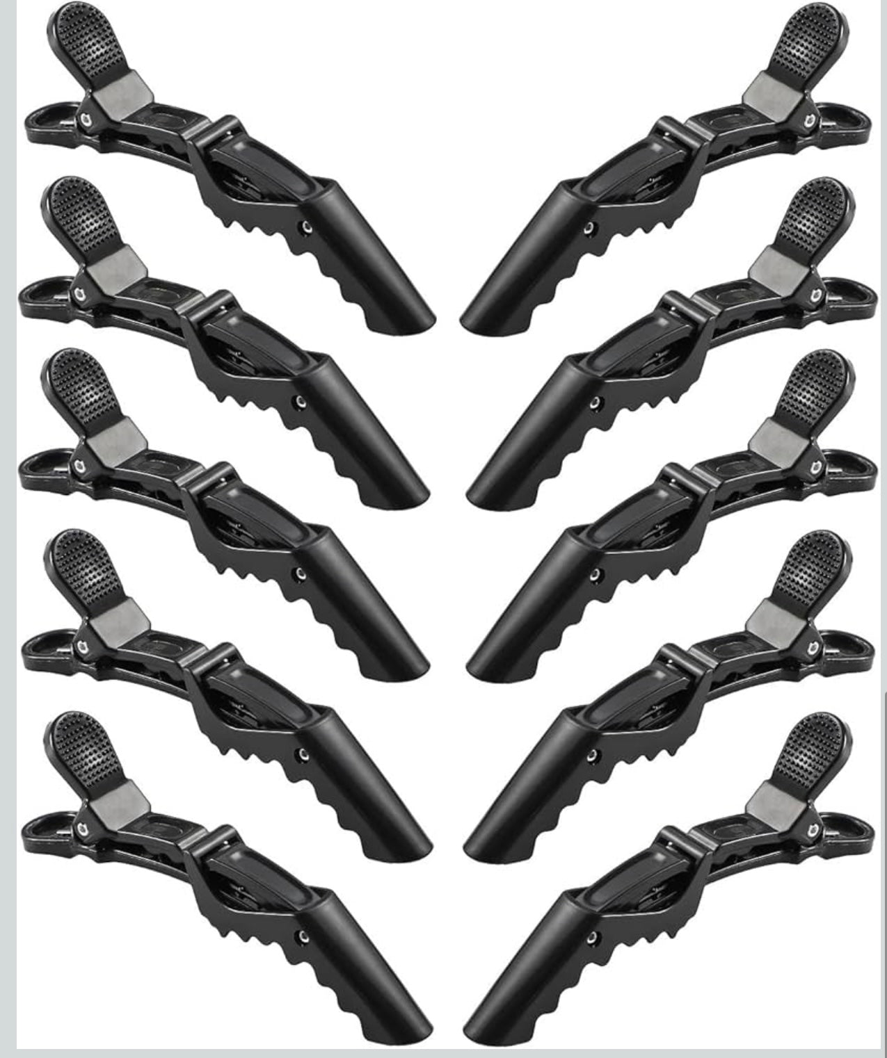 Salon Hair Clips (6pcs)